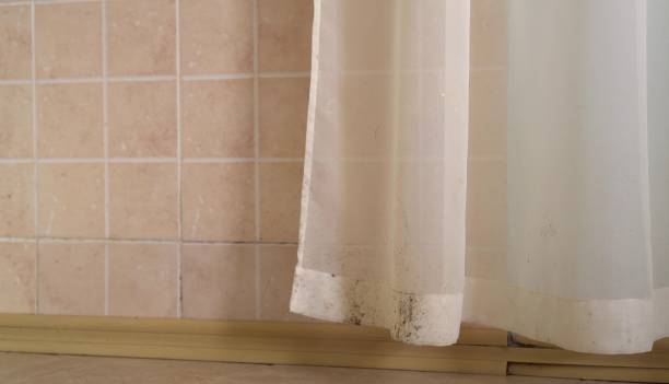 Best Mold Removal for HVAC Installations  in Lovington, NM