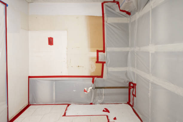 Best Post-Remediation Verification Testing  in Lovington, NM