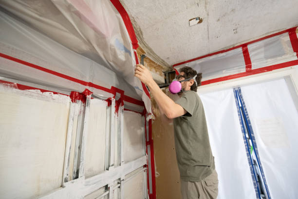 Mold Remediation for Rental Properties in Lovington, NM