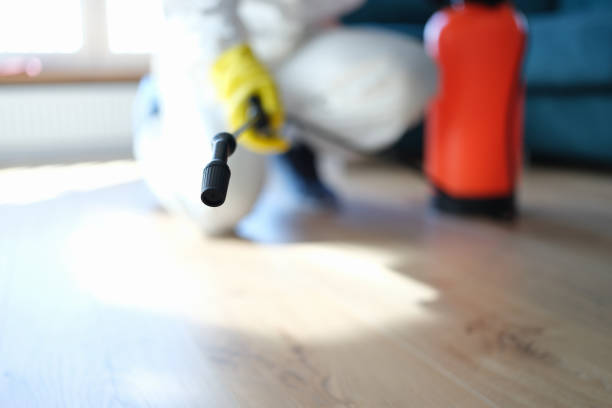 Best Water Damage & Mold Remediation  in Lovington, NM